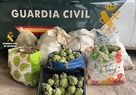 Detienen 'in fraganti' con 110 kilos de alcachofas a un ladrón de campo que ya había robado 3 toneladas en el pasado