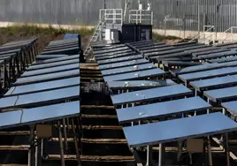 Biar suspende la concesión de licencias para instalaciones de energías renovables ante la «avalancha» de fotovoltaicas