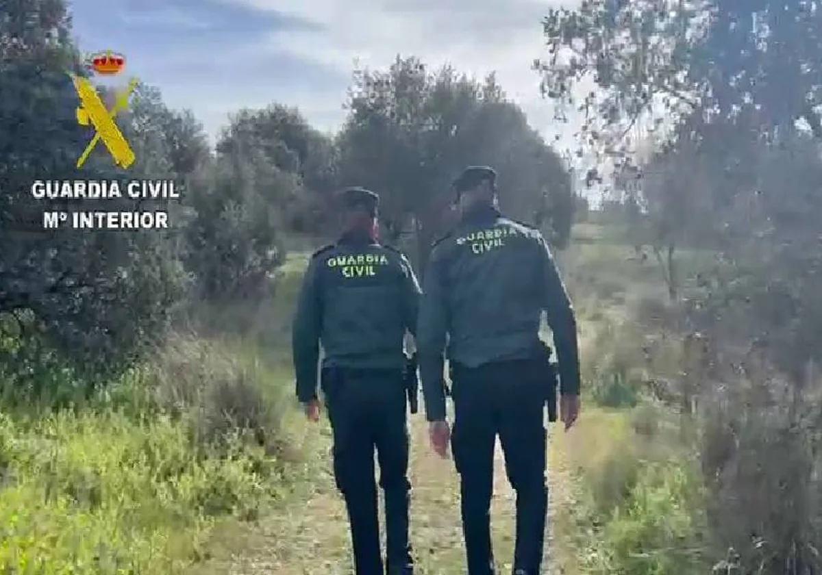 Agentes de la Guardia Civil de Navalcán, La Estrella, El Puente y Oropesa han buscado a la desaparecida