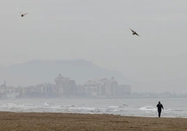 Desactivado el Plan Marítimo Nacional al disolverse el vertido frente a la costa de Valencia