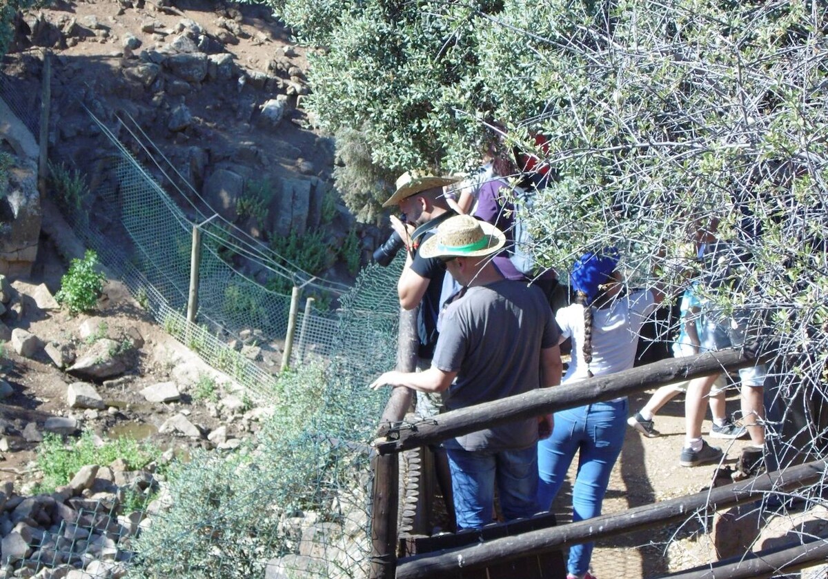 La finca da a conocer el clima mediterráneo y la flora y fauna toledana