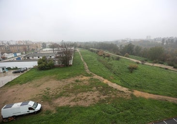 La Junta avisa en la subasta del Cordel de Écija de los cambios urbanísticos que incluyen el puente de Loyola