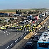 Unos 50 agricultores y ganaderos cortan durante media hora la autovía A-6 en Zamora