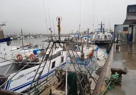 Los pescadores andaluces denuncian la competencia desleal de Italia y piden amparo al Gobierno