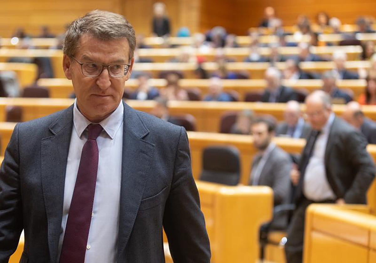 El líder del PP, Alberto Núñez Feijóo, durante una sesión plenaria en el Senado