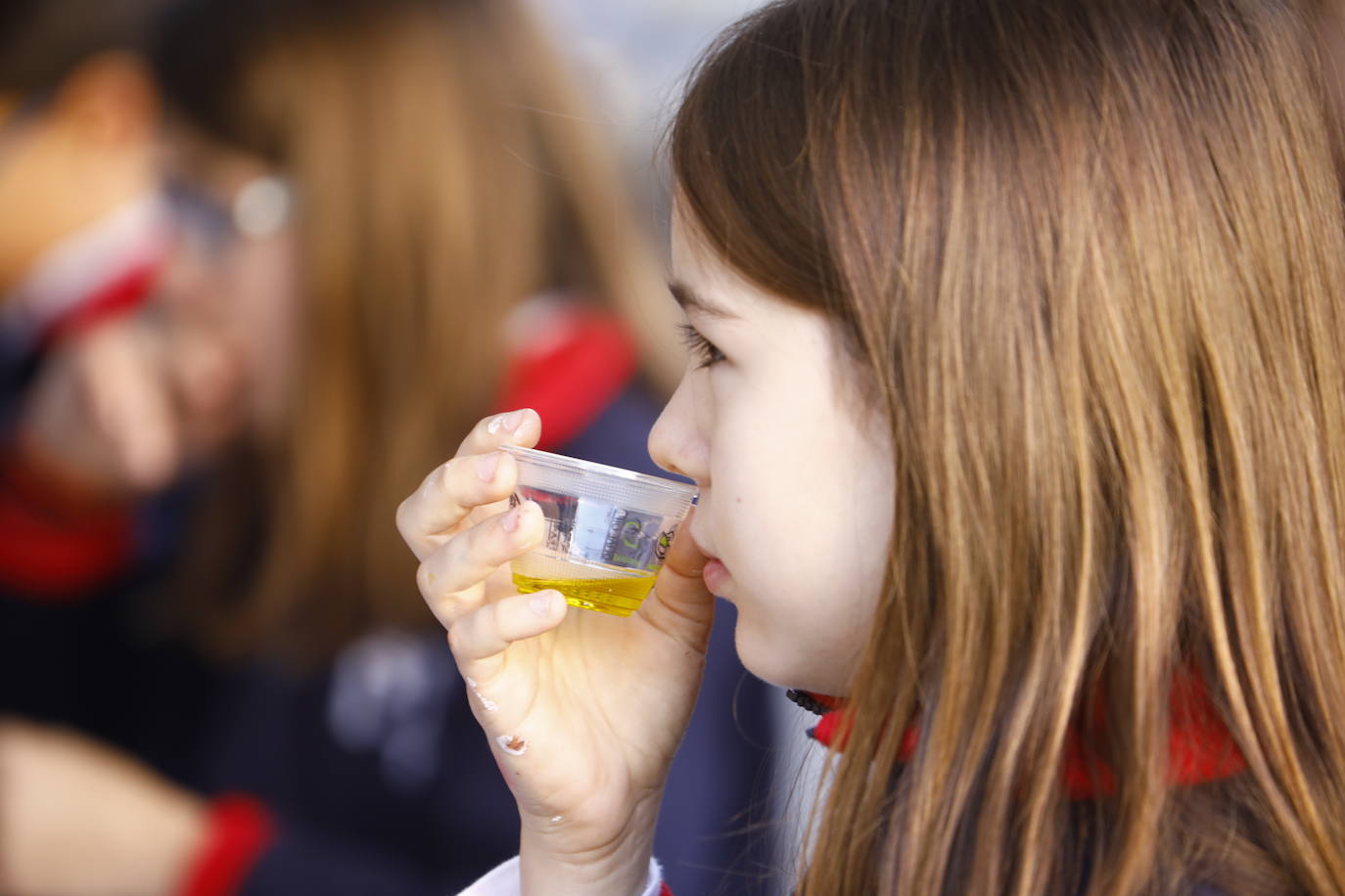 La inauguración del Festival del Aceite Virgen Extra de Córdoba, en imágenes