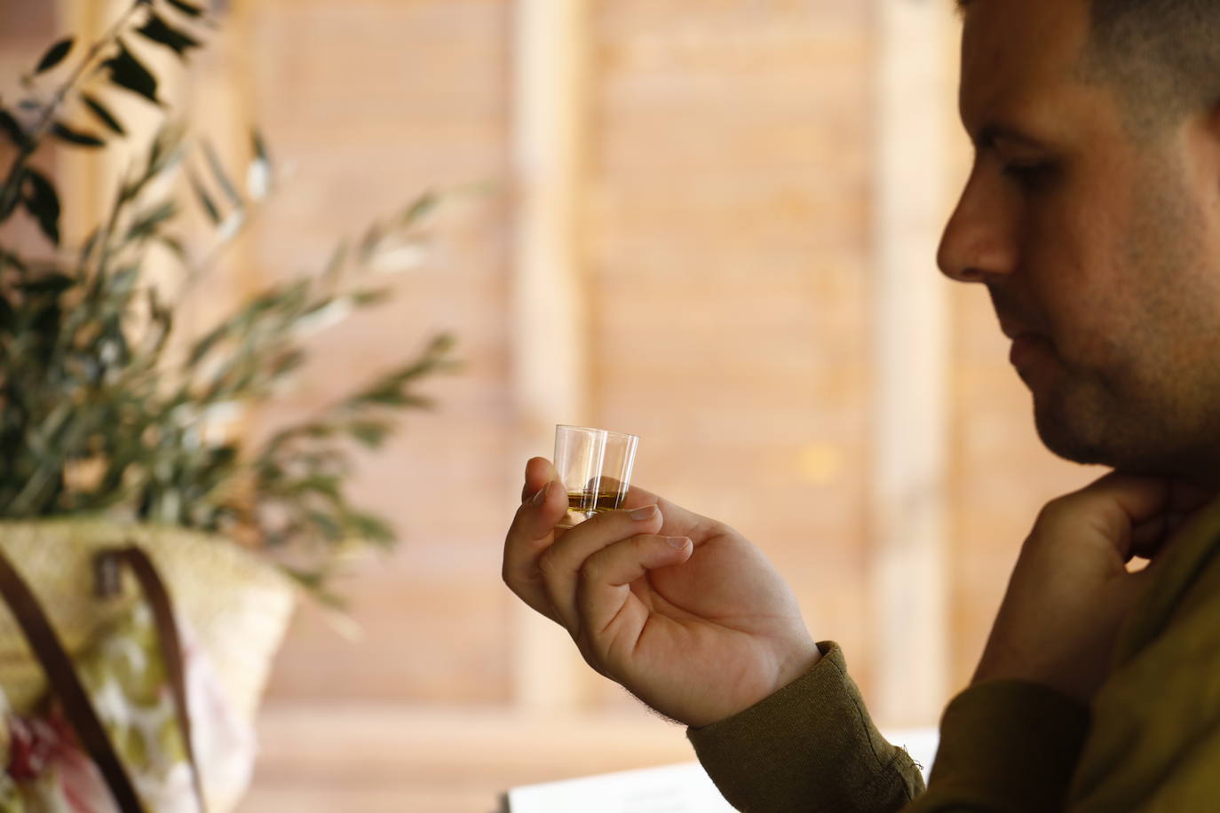 La inauguración del Festival del Aceite Virgen Extra de Córdoba, en imágenes