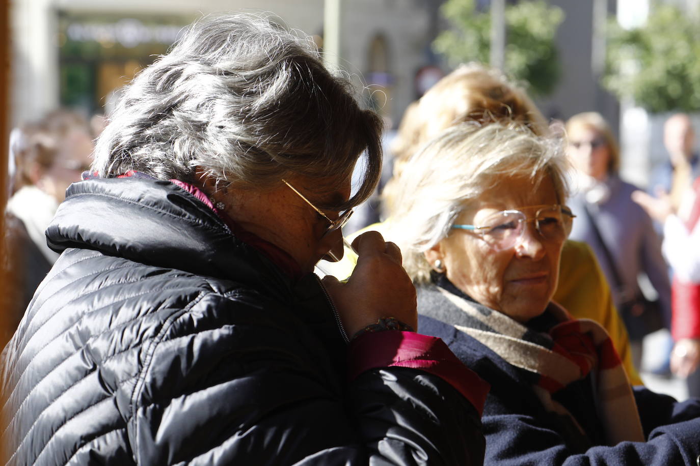 La inauguración del Festival del Aceite Virgen Extra de Córdoba, en imágenes