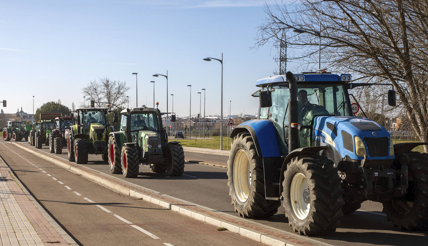 El sector del campo se manifiesta en las carreteras de Salamanca