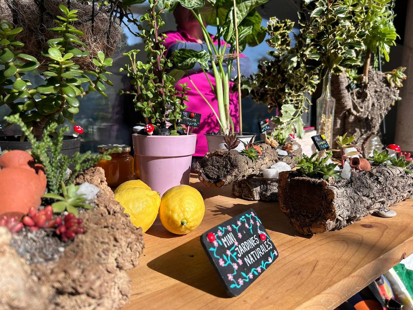 Vuelve el Mercado de las Flores al jardín de San Lucas, en imágenes