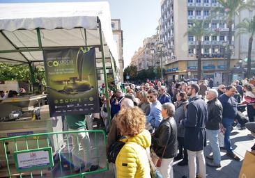 Fotos: El animado ambiente de sábado en el Festival del Aceite Córdoba Virgen Extra