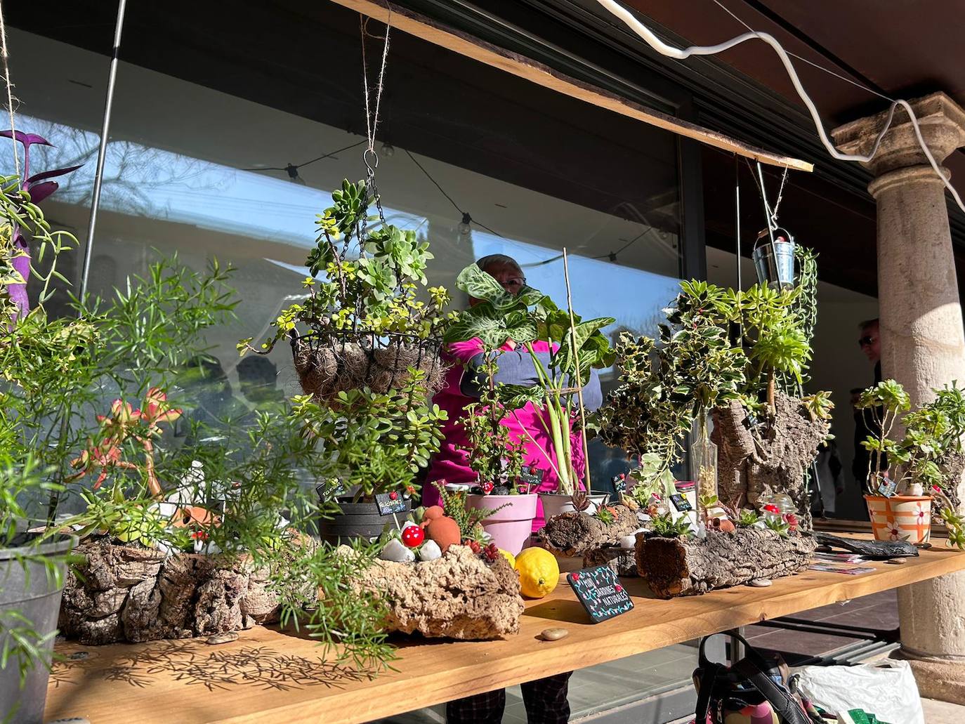 Vuelve el Mercado de las Flores al jardín de San Lucas, en imágenes