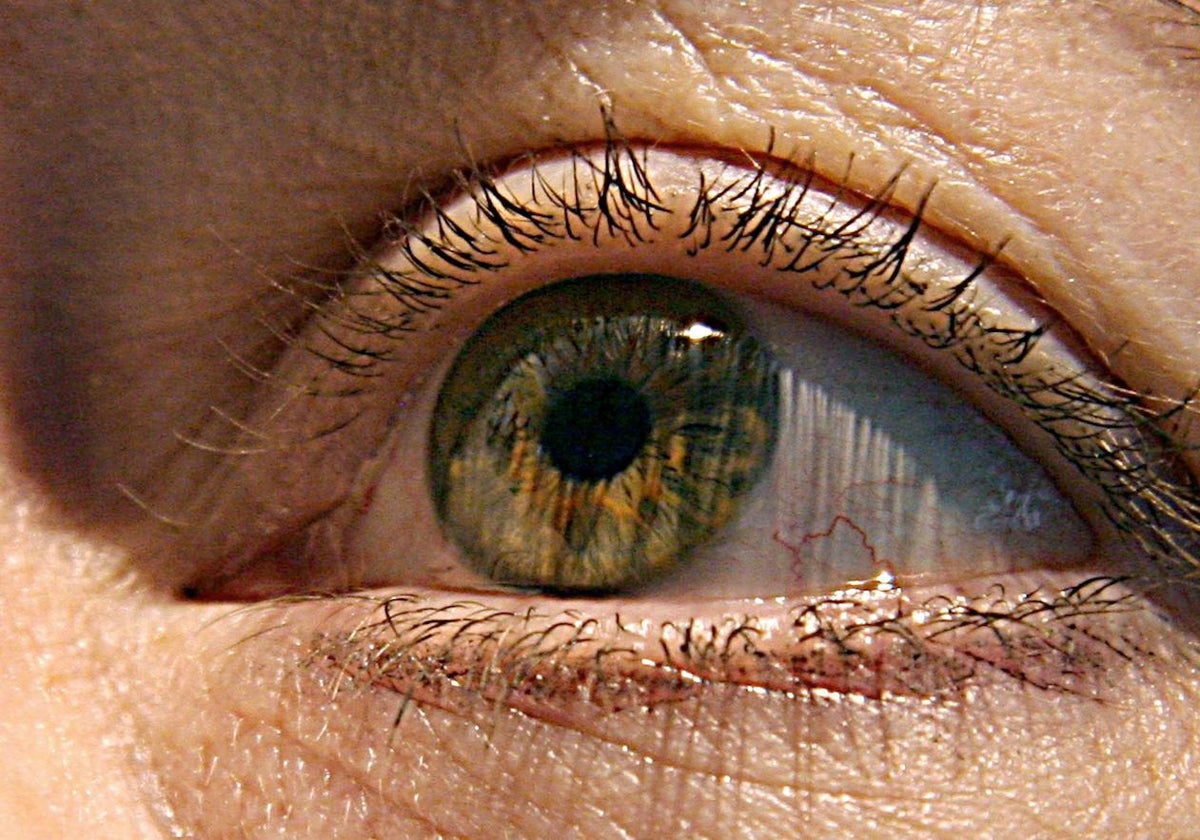 El iris del ojo humano es único e irrepetible en cada indivícuo