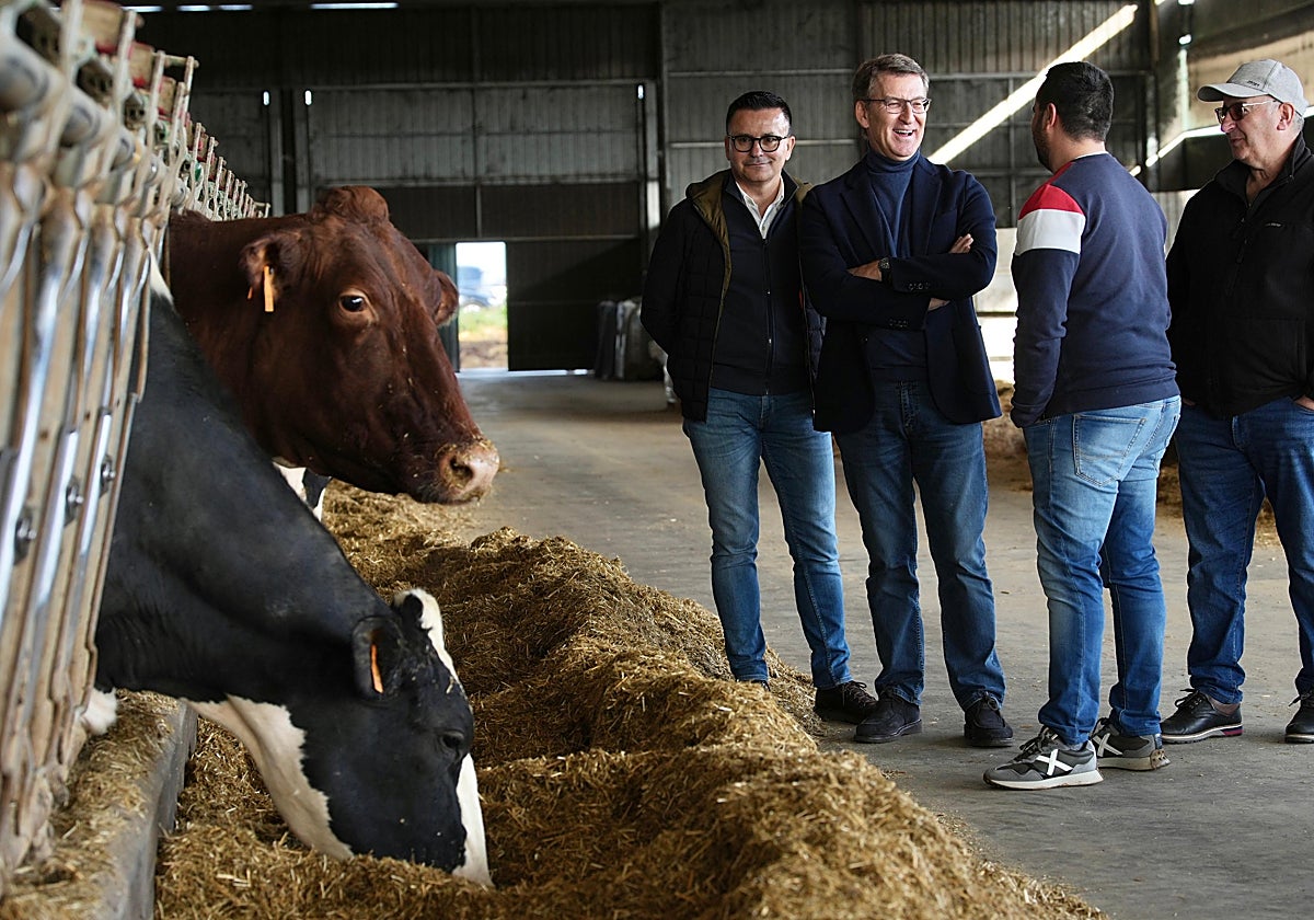 Alberto Núñez Feijóo, este lunes en una explotación agraria de Lalín (Pontevedra)