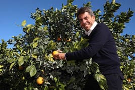 Mazón asiste a Fruit Logística Berlín para promocionar y defender al sector hortofrutícola de la Comunidad Valenciana