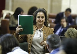 La Junta de Andalucía niega que el sistema sanitario se haya colapsado este invierno aunque pide disculpas a quienes sufren retrasos