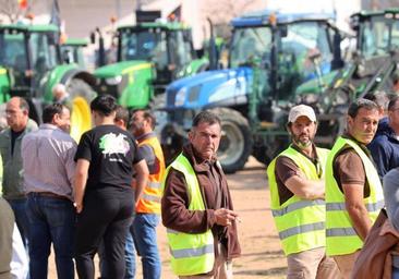 Las razones por las que Asaja, COAG, UPA y Cooperativas Agroalimentarias se movilizarán el 27 de febrero en Lucena