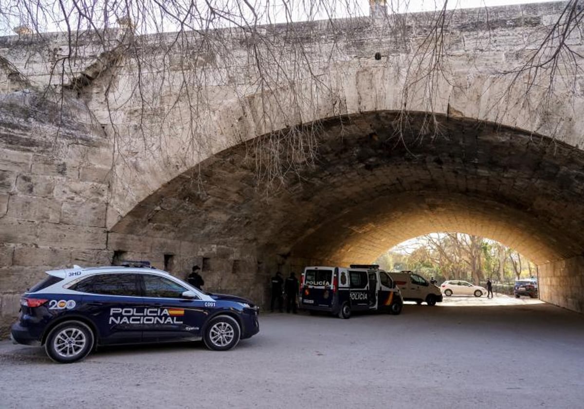 Varios vehículos de Policía en el lugar donde han sucedido los hechos, bajo el Puente del Real, en el Jardín del Turia