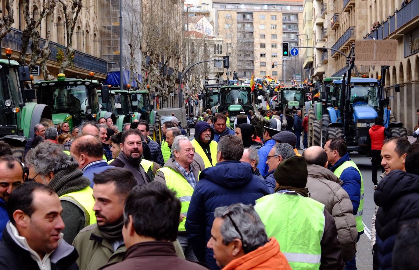 Agricultores salmantinos se manifiestan con sus tractores por toda la ciudad de Salamanca