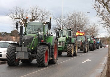 Las imágenes de la tractorada de este viernes en Toledo