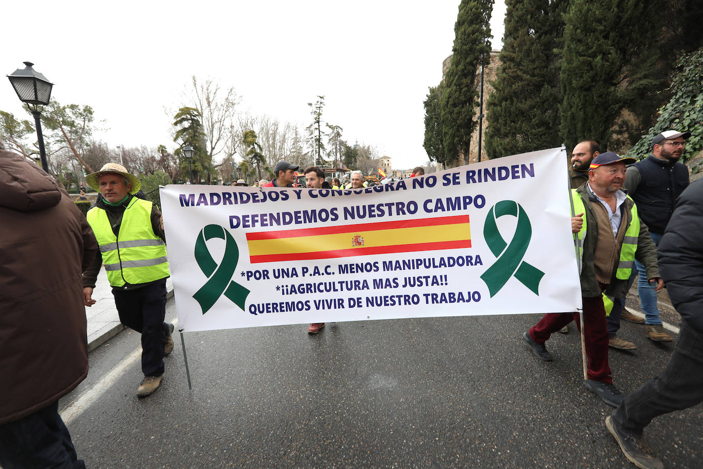 Las imágenes de la tractorada de este viernes en Toledo