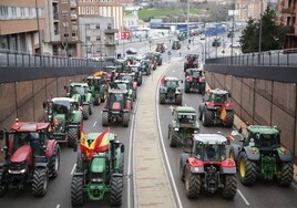 Más de mil tractores participan en Zamora en la convocatoria formulada por Asaja, COAG y UPA contra una PAC «de escaparate»