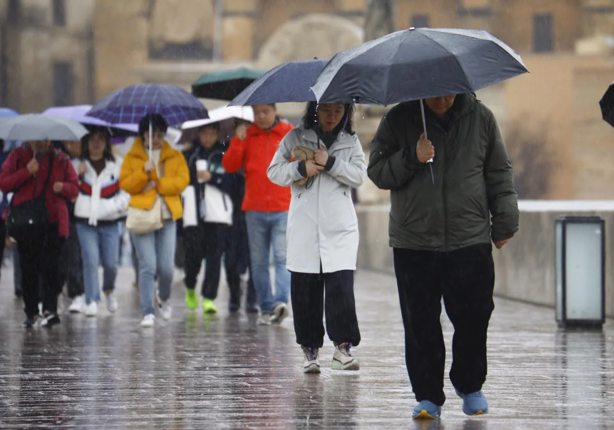 El primer cuatrimestre del año hidrológico se salda en Córdoba con unas  lluvias inferiores en un 12% a la serie histórica