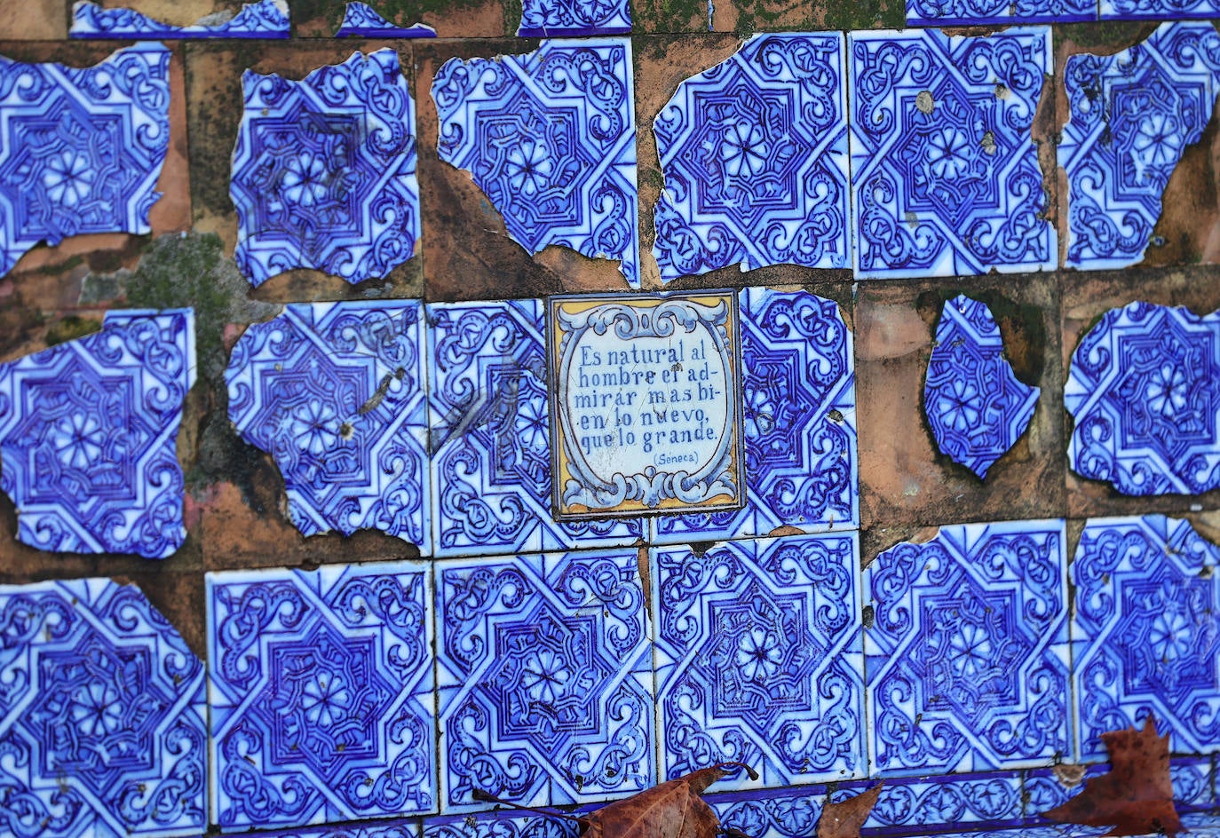 Fotos: el deterioro de los bancos de azulejos de los Jardines de los Patos en Córdoba