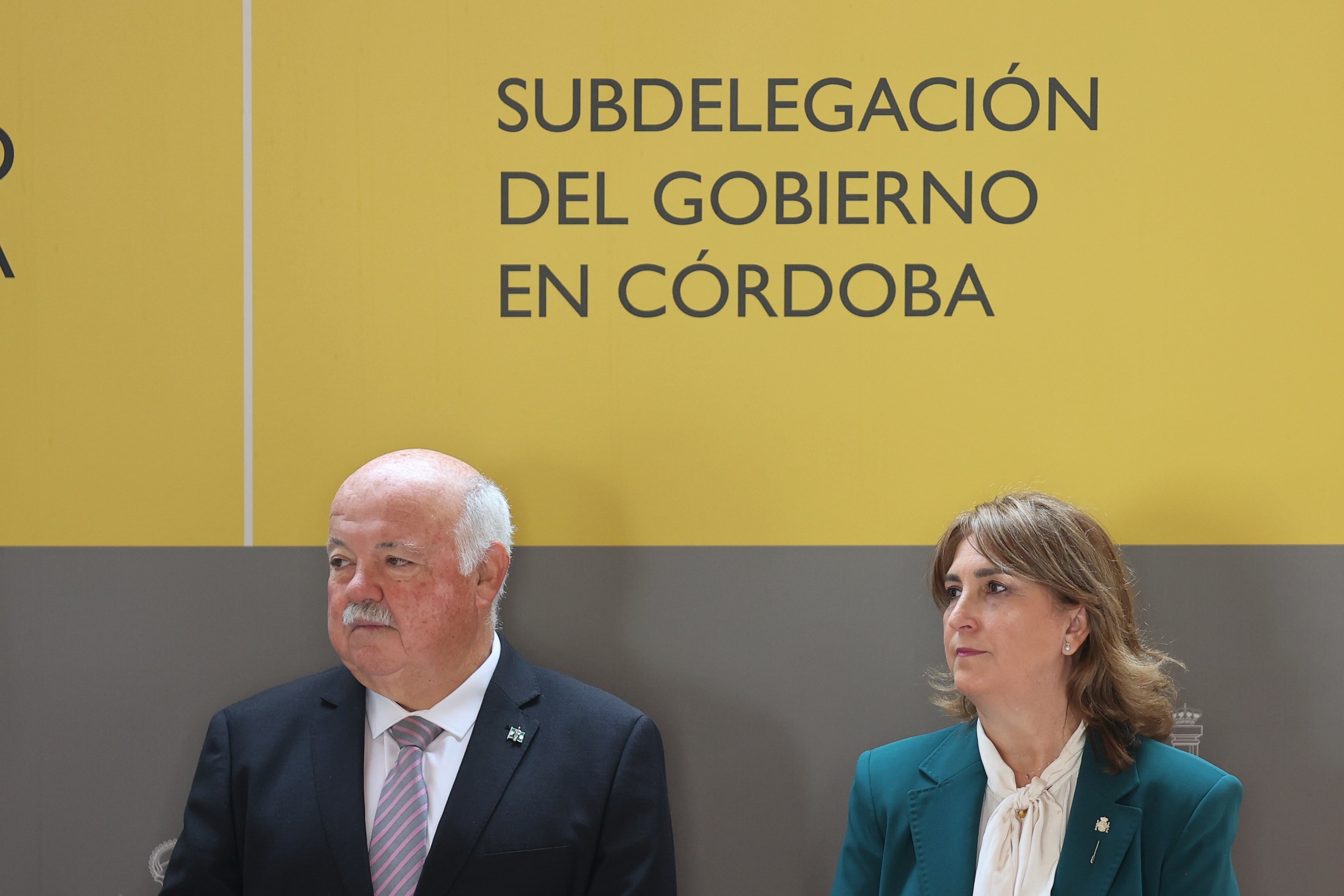 Fotos: la multitudinaria puesta de largo de la subdelegada del Gobierno en Córdoba