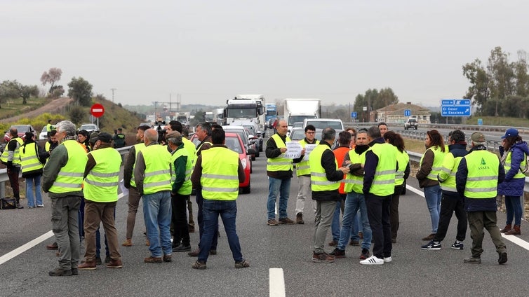 Las organizaciones agrícolas salen a las carreteras de Castilla-La Mancha para pedir «en justicia» que se ayude al campo