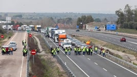 Las concentraciones de agricultores y ganaderos en Toledo, en imágenes