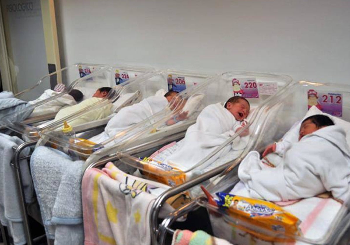 Zona de recién nacidos en una maternidad