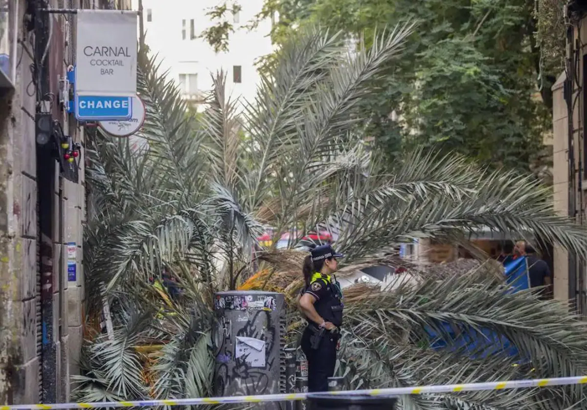 Palmera caída en el Raval que causó la muerte de una joven de 20 años