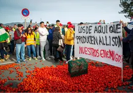 El campo llega a la costa: 300 agricultores bloquean el puerto de Motril y claman contra la competencia de Marruecos