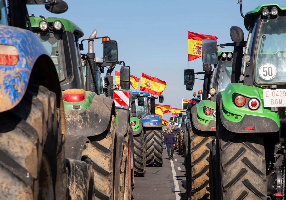 Una de las últimas tractoradas espontáneas en Zamora