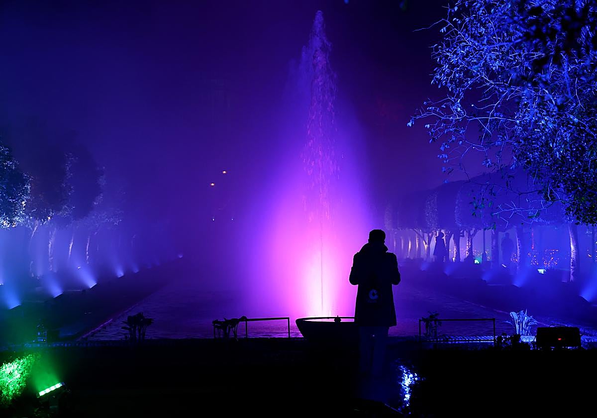 Imagen del espectáculo 'Naturaleza encendida' en el Alcázar
