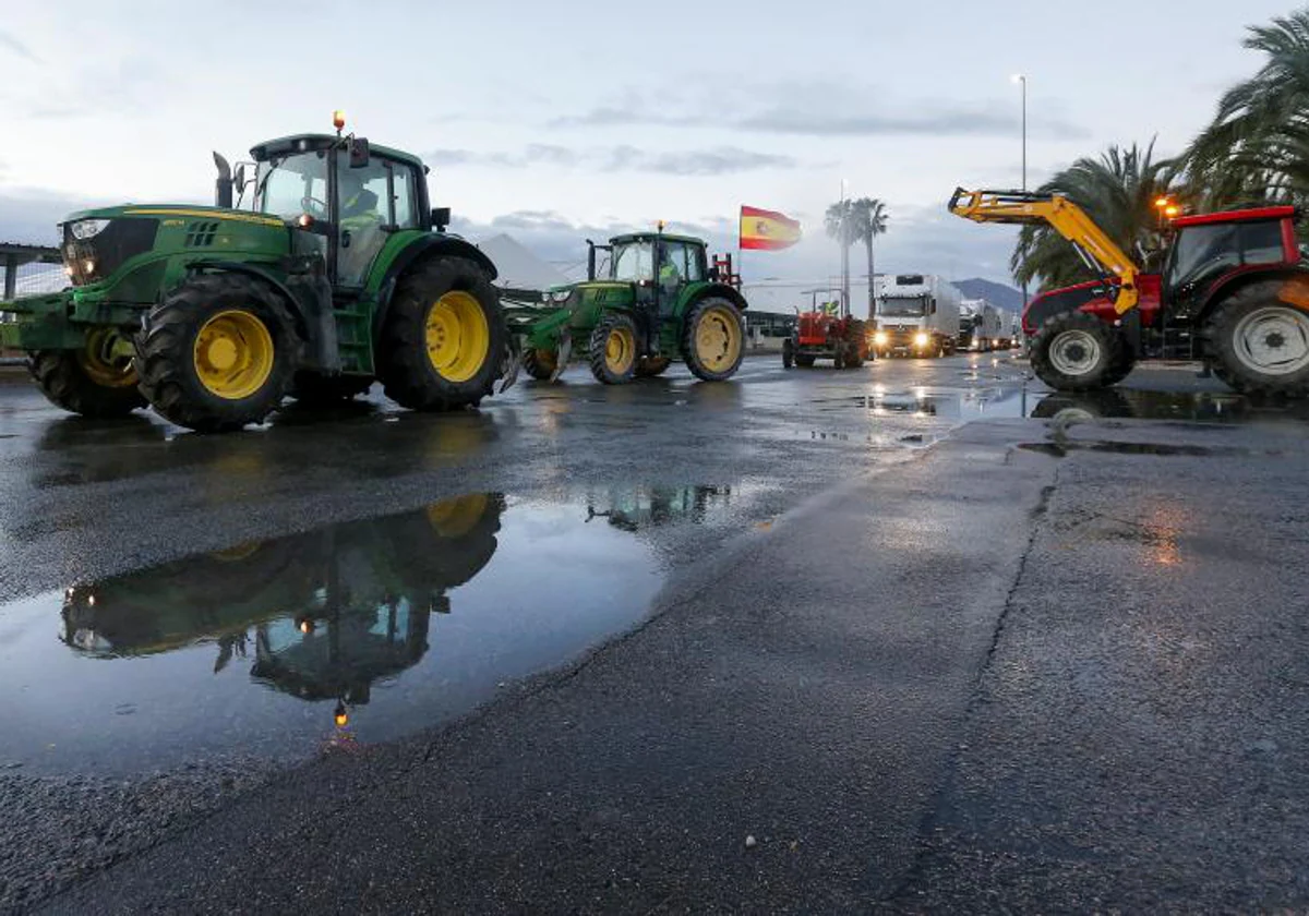 Agricultores de la comarca de la Vega Baja del Segura protestan con un centenar de tractores