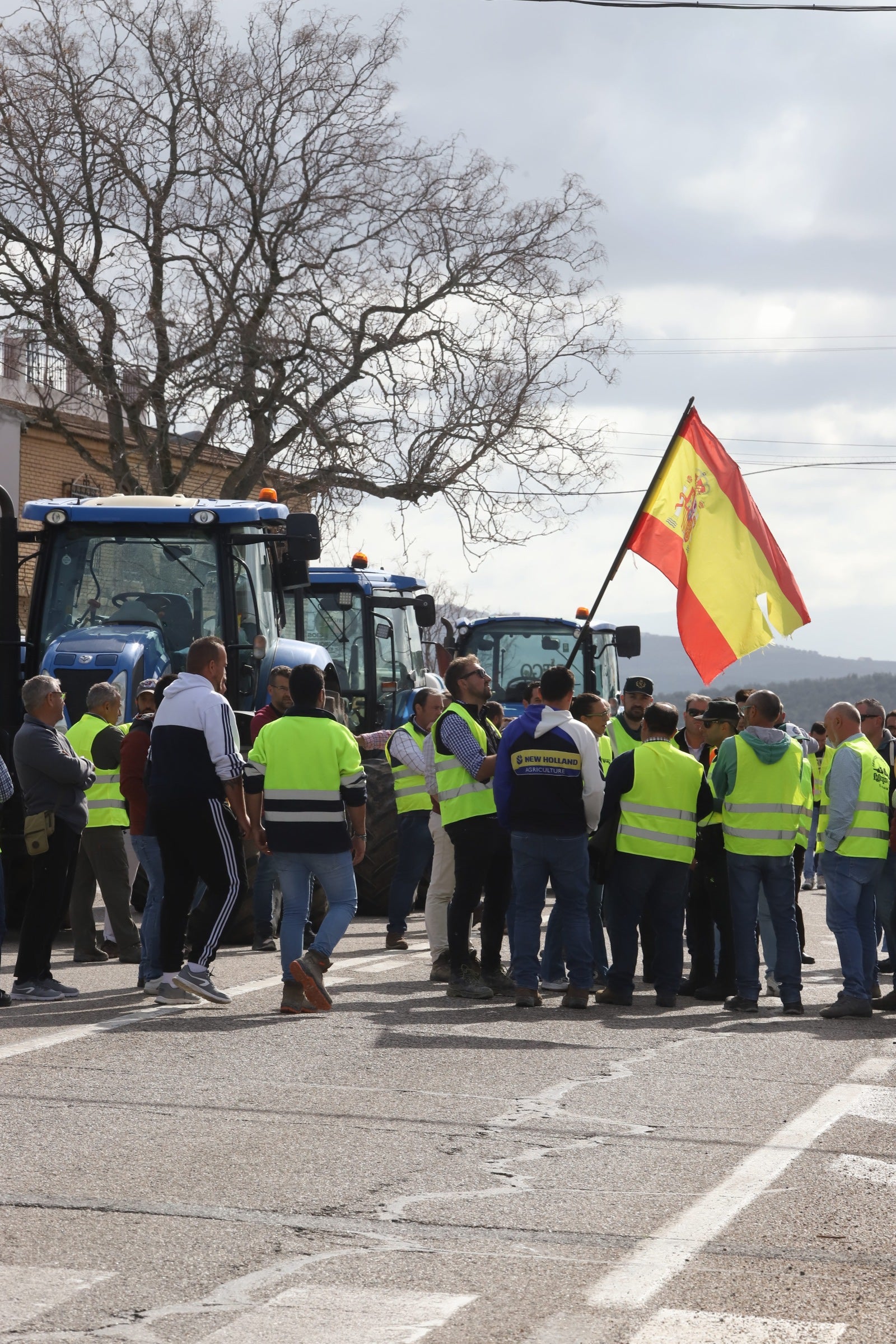 Fotos: las tractoradas colapsan varias carreteras de Córdoba