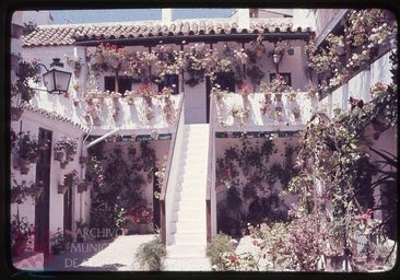 La Asociación Amigos de los Patios de Córdoba cumple 50 años de amor y defensa del patrimonio