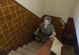 La lenta lucha andaluza contra los 'pisos cárcel': sólo 3.500 ascensores más al año y un millón de viviendas inaccesibles