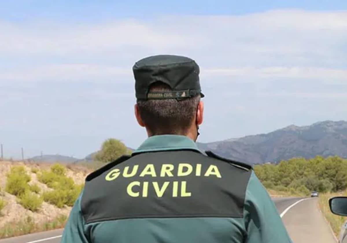 La Guardia Civil detuvo al sospechoso