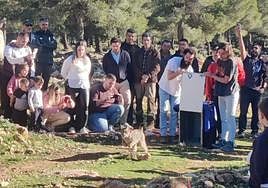 Granada contribuye a la repoblación del lince con la suelta de cinco ejemplares en Sierra Arana