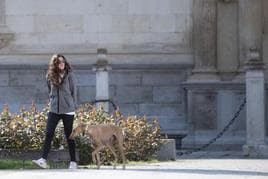 Alcalá ha tramitado ya 75 multas de entre 300 y 3.000 euros por no recoger las heces de los perros gracias al ADN canino