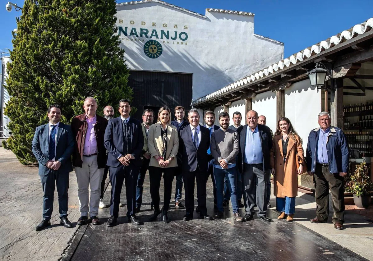 Los vinos del Campo de Calatrava se cultivan a lo largo de 13.500 hectáreas de viñedo en 16 municipios de la provincia de Ciudad Real