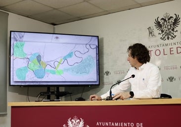 Toledo planta mil árboles y repone 200 alcorques en la primera fase del Plan de Arbolado