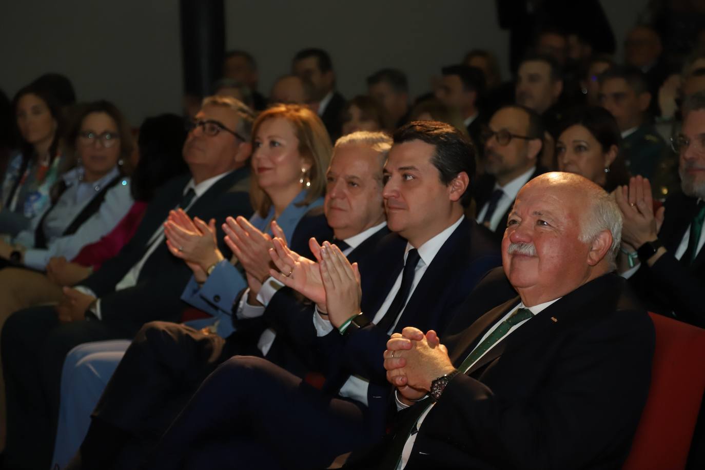 Fotos: la solemne entrega de las banderas de Andalucía en Córdoba