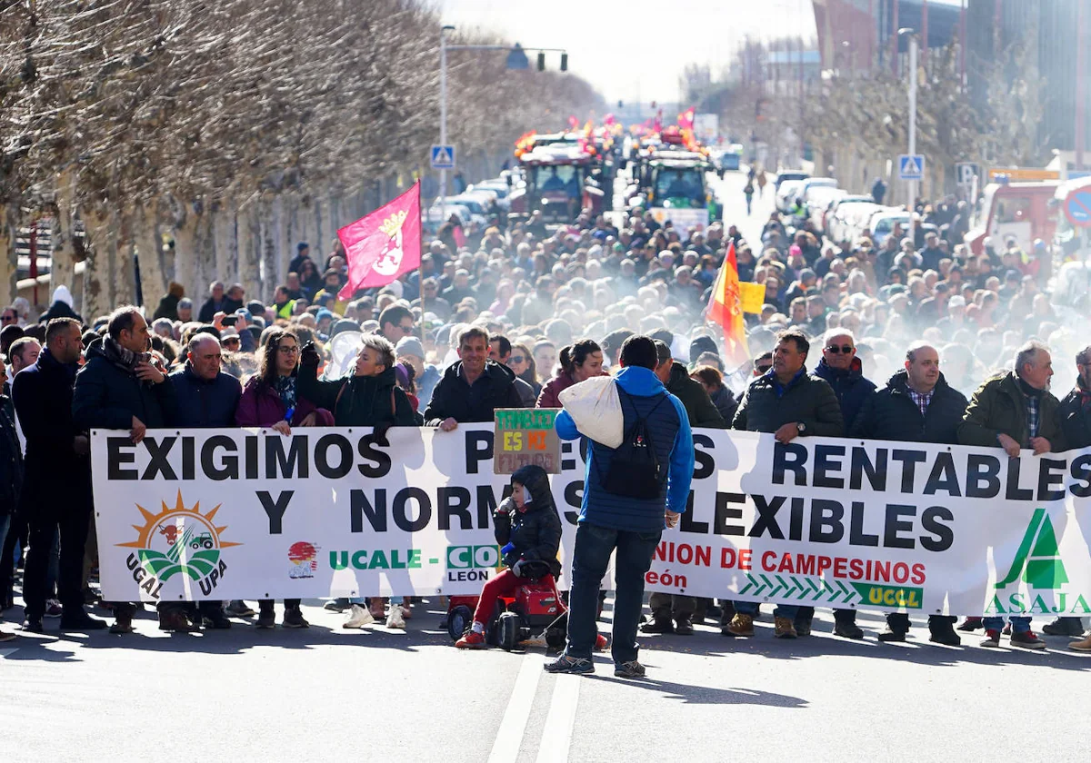 Las organizaciones agrarias Asaja, Ugal-Upa, Ucale-Coag y UCCL han celebrado una tractorada por las calles de León bajo el lema 'Exigimos precios rentables y normas flexibles'