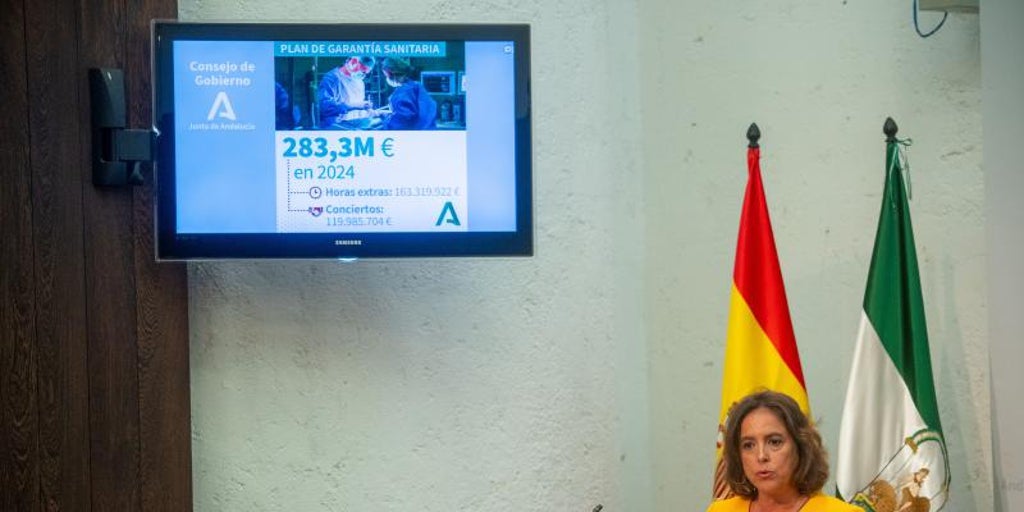El SAS vuelve a ampliar el plazo de presentación de ofertas para el ...