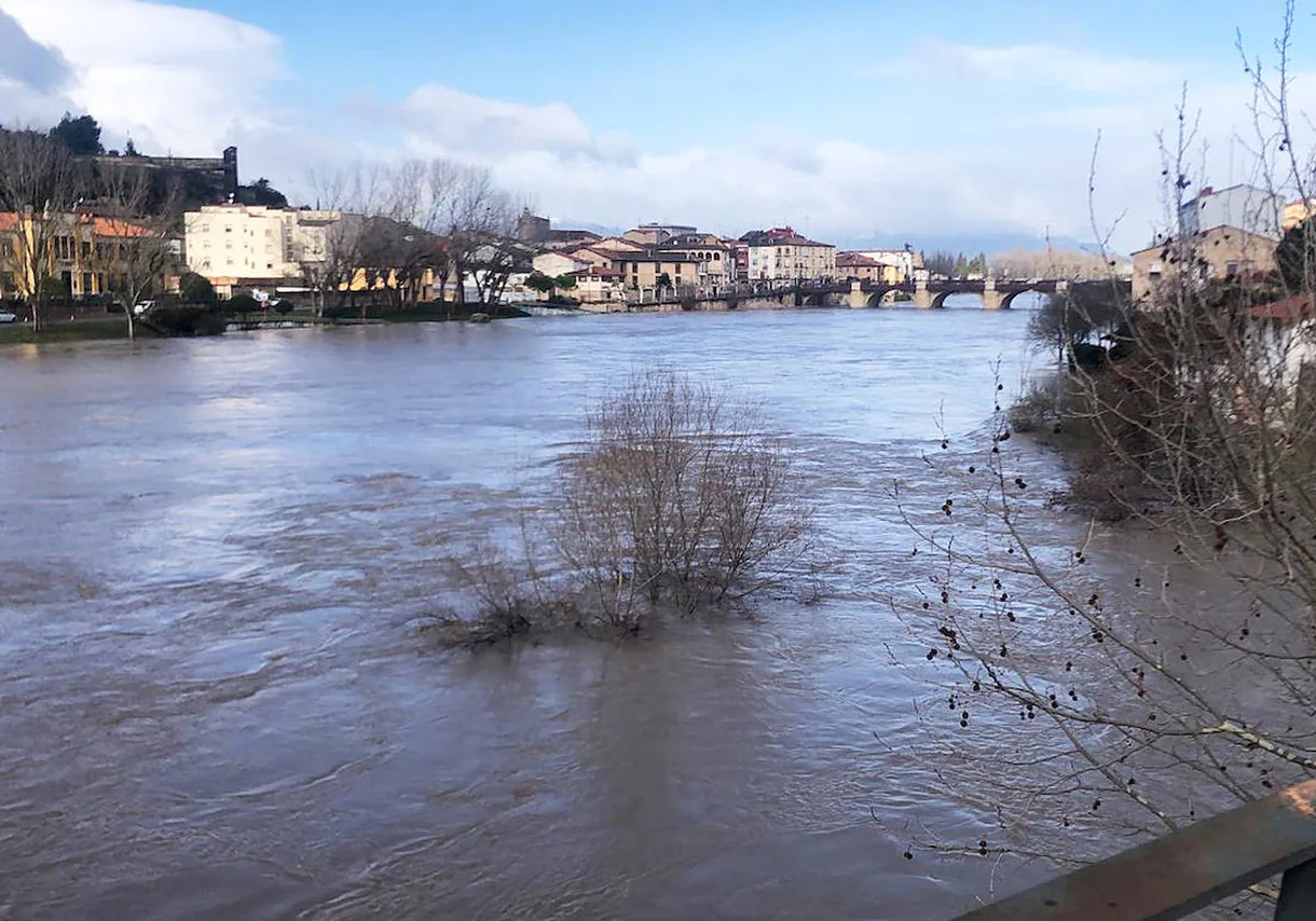 El río Ebro, a su paso por Miranda de Ebro