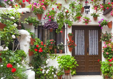 Por qué se celebra hoy el Día de Andalucía y qué se conmemora